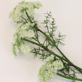 Queen Anne's Lace Spray - 29”