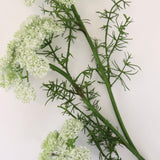 Queen Anne's Lace Spray - 29”