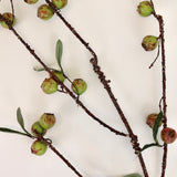 Rosehip Stem - 48”