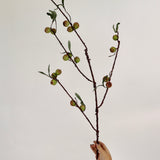 Rosehip Stem - 48”