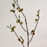 Rosehip Stem - 48”