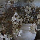 Prunus Blossom Stem - 41"