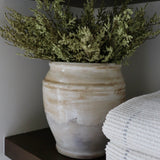 Asparagus Fern Spray - 23.5"