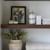 Asparagus Fern Spray - 23.5"