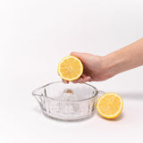 Glass Citrus Juicer