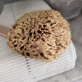 Solace Sea Sponge Brush