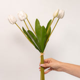 Tulip Bundle - 19"