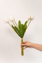 Tulip Bundle - 19