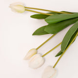 Tulip Bundle - 19"