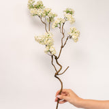 Flowering Branch - 27.5”