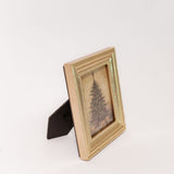 Tree Framed Art