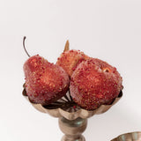 Mixed Fruit - Box of 6