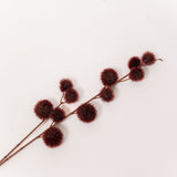 Burgundy Pom Stem - 33"