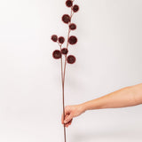 Burgundy Pom Stem - 33"