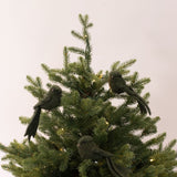 Bird Clip - Green
