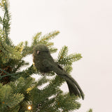 Bird Clip - Green