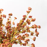 Daisy Spray - 30"