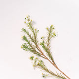 Blossom Spray - 23.5"