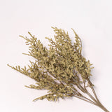 Dance Plant Stem - 14.5"