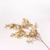 Prunus Blossom Stem - 41"