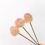 Allium Stem Bundle - 19"