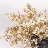Distressed Terracotta Handle Vase