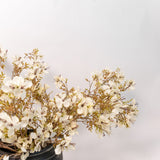 Prunus Blossom Stem - 41"