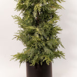 Cedar Potted Tree - 2 Sizes