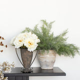 Asparagus Fern Spray - 23.5"