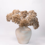 Distressed Terracotta Vase - Cream
