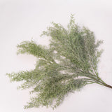 Asparagus Fern Spray - 23.5"