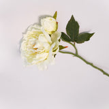 Peony Stem - 15"