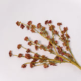 Daisy Spray - 30"