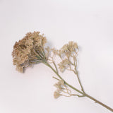 Lace Flower Stem - 34"
