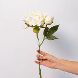 Peony Stem - 15"