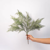 Asparagus Fern Spray - 23.5"