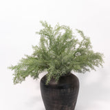 Distressed Terracotta Vase - Black