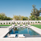 Ledge Lounger Signature Chaise and Headrest Pillow In-Pool Set