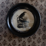Eerie Assorted Framed Bird Prints - Set of 2