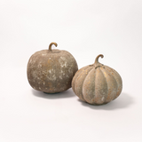 Dusty Finish Pumpkin - 2 Sizes
