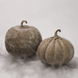 Dusty Finish Pumpkin - 2 Sizes