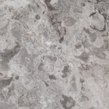 Sage Gray 6"x12" Tile by Castelli Marble