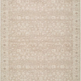 Asha Machine Woven Rug