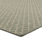 Lakin Rug - Eucalyptus