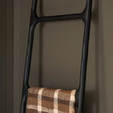 Boothe Ladder