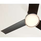 Cirque 56" LED Ceiling Fan