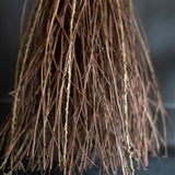 Witch Broom Stick