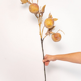 Crabapple Stem - 31" - 3 Colors