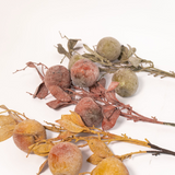 Crabapple Stem - 31" - 3 Colors