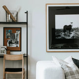 Blank Horse Wall Art by Annie Spratt
